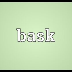 Bask definition