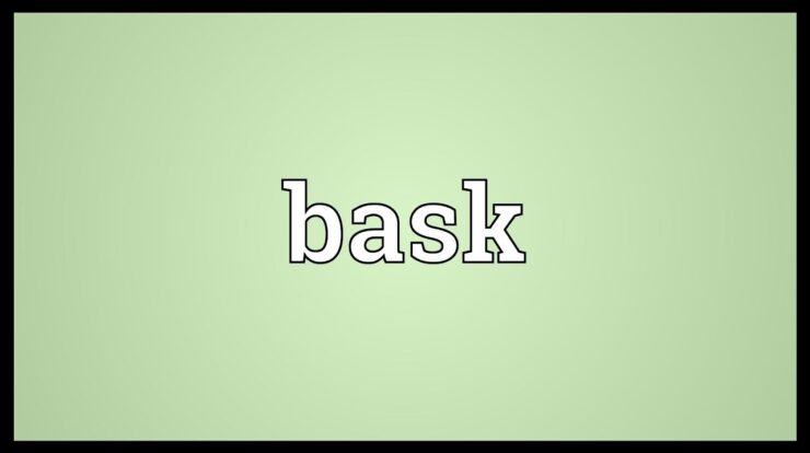 Bask definition